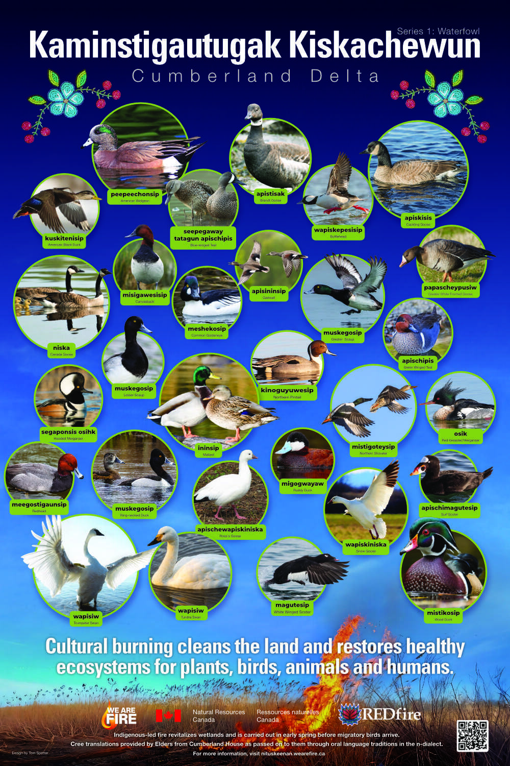 Nîtus Kîskêyihtamowin - We Are Fire Poster